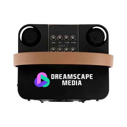 15w Karaoke Wireless Speaker With 2 Mics