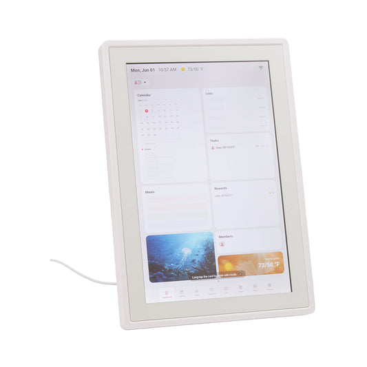Dayflow Digital Smart Calendar
