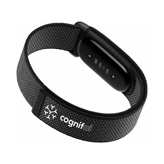 Google Fitbit Air